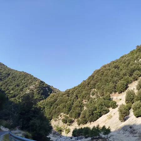 Reis House Kuc (Vlore)